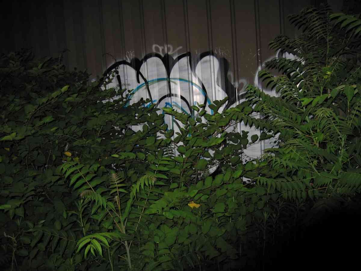Graffiti Murals Street Art 0284 12204165 A4 Photo Print