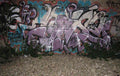 Graffiti Murals Street Art 0289 12212298 A4 Photo Print