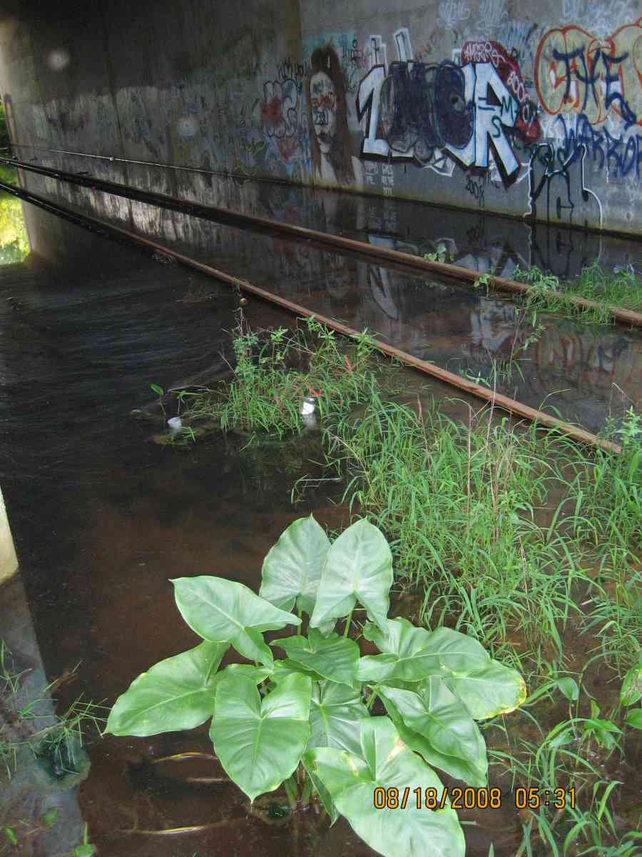 Graffiti Murals Street Art 030 1377 A4 Photo Print