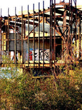 Graffiti Murals Street Art 032 dolce dogo PWS A4 Photo Print