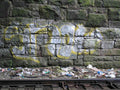 Graffiti Murals Street Art 0325 11526218 A4 Photo Print