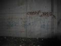 Graffiti Murals Street Art 0340 11543541 A4 Photo Print