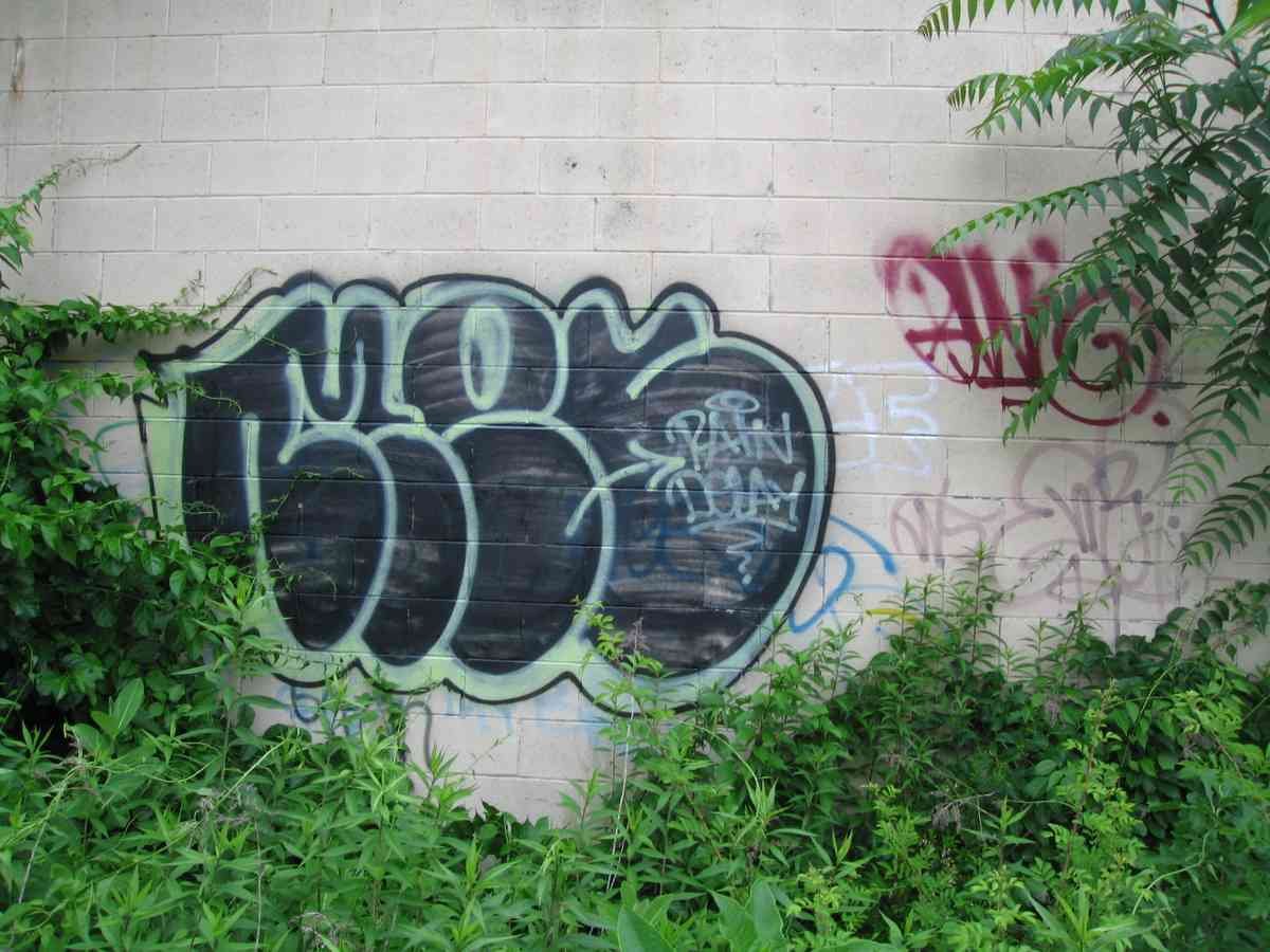 Graffiti Murals Street Art 0354 11546043 A4 Photo Print