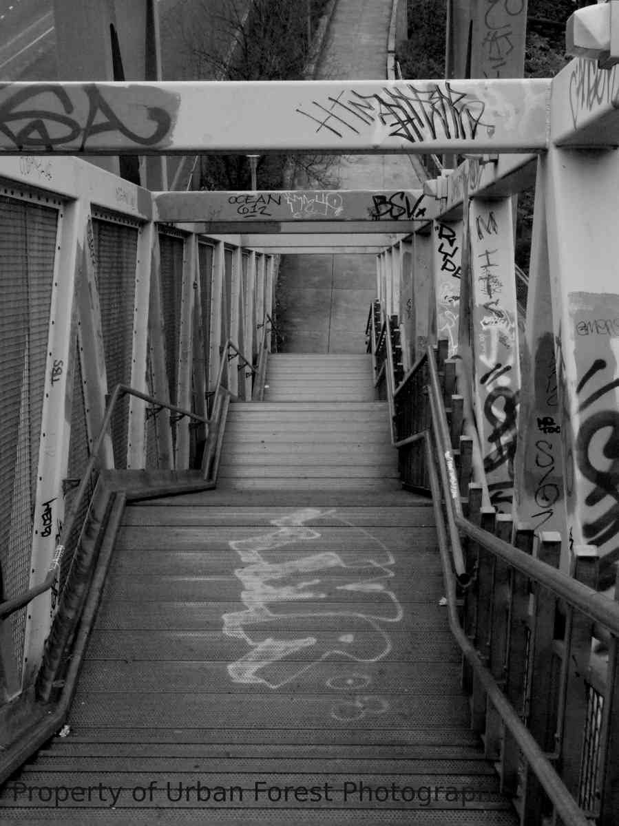 Graffiti Murals Street Art 037 1408 A4 Photo Print