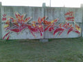 Graffiti Murals Street Art 0374 Fotoz292 A4 Photo Print