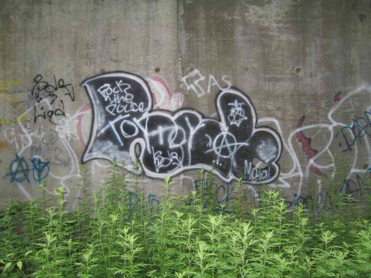 Graffiti Murals Street Art 0415 13689094 A4 Photo Print