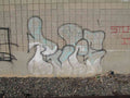 Graffiti Murals Street Art 0469 13796614 A4 Photo Print