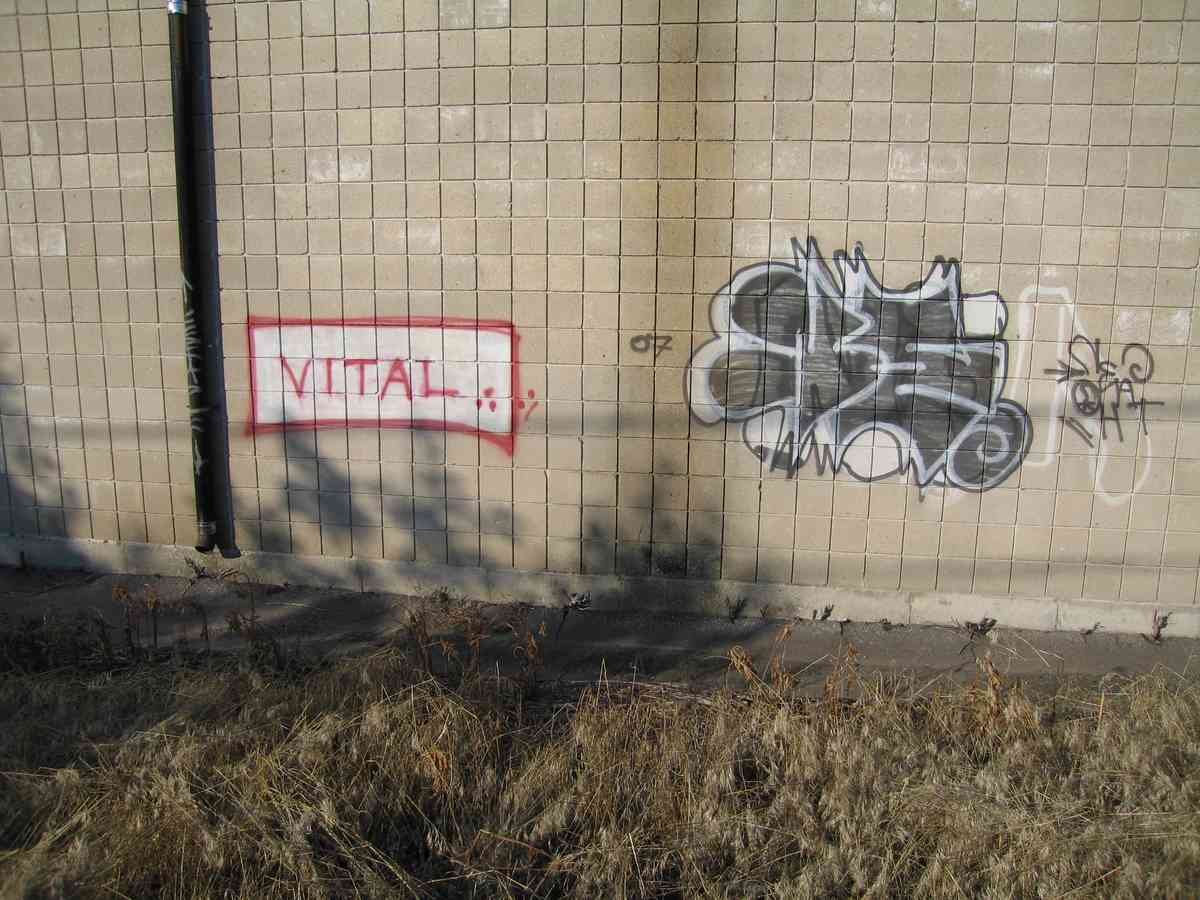 Graffiti Murals Street Art 0483 13797655 A4 Photo Print