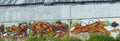 Graffiti Murals Street Art 0483 PC250012v 157 A4 Photo Print