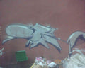 Graffiti Murals Street Art 0500 img014 A4 Photo Print