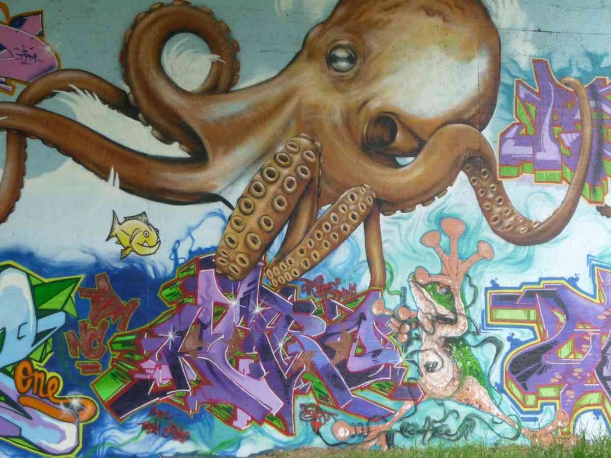 Graffiti Murals Street Art 0507 pulpo graffiti A4 Photo Print