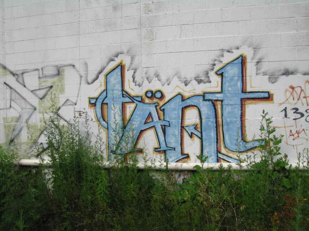 Graffiti Murals Street Art 0555 13469063 A4 Photo Print