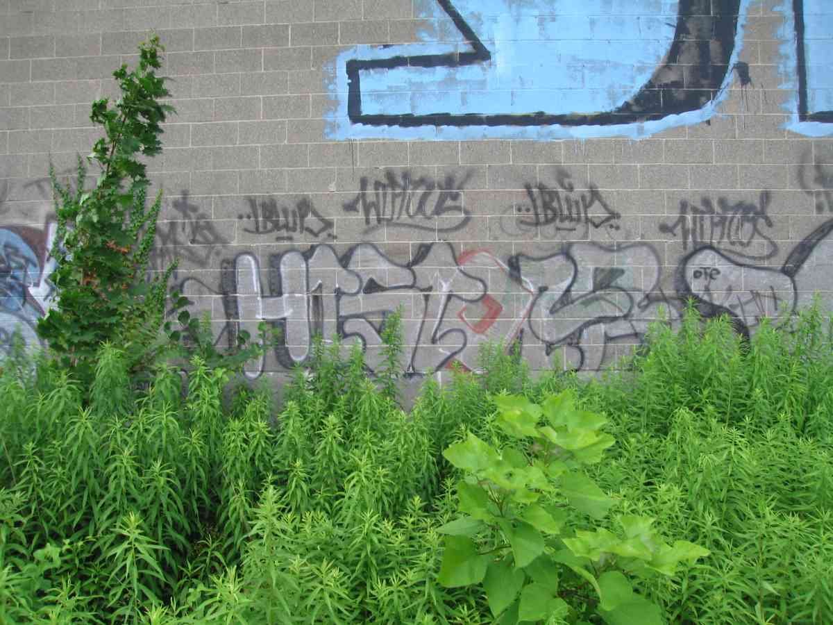 Graffiti Murals Street Art 0559 13499472 A4 Photo Print