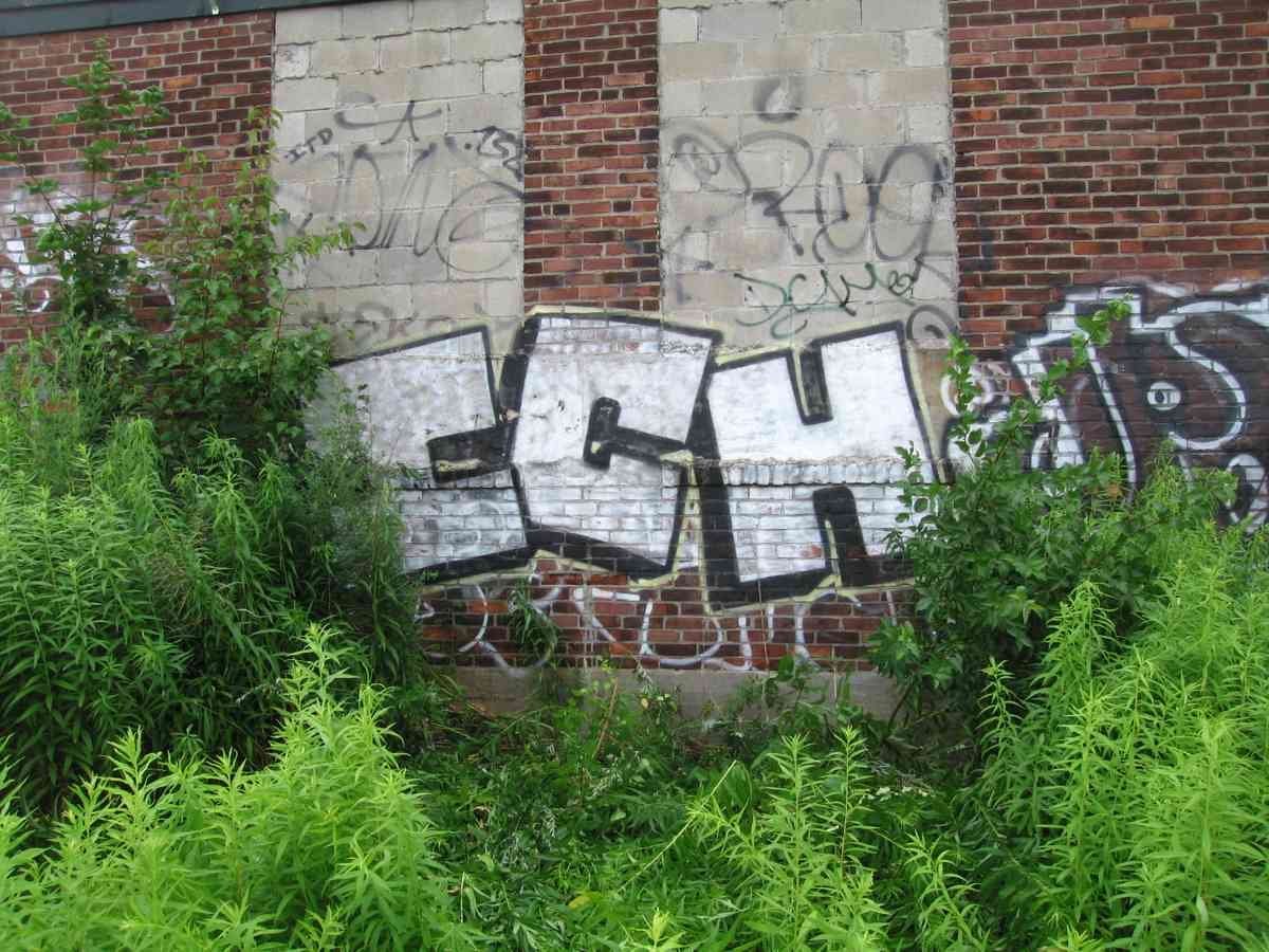 Graffiti Murals Street Art 0561 13499504 A4 Photo Print