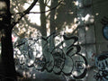 Graffiti Murals Street Art 0566 13500018 A4 Photo Print