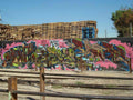 Graffiti Murals Street Art 0592 Aloy Greas Elser MSK AWR SKA ICR LosAngeles Graf A4 Photo Print