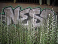 Graffiti Murals Street Art 0628 15048442 A4 Photo Print