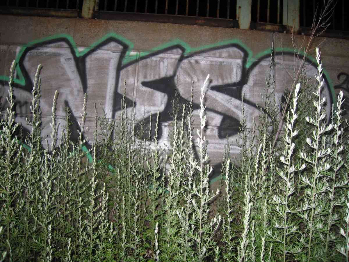 Graffiti Murals Street Art 0628 15048442 A4 Photo Print