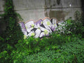 Graffiti Murals Street Art 0648 15075320 A4 Photo Print