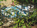 Graffiti Murals Street Art 0678 15100760 A4 Photo Print