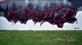 Graffiti Murals Street Art 0691 does chas belgium 06 A4 Photo Print