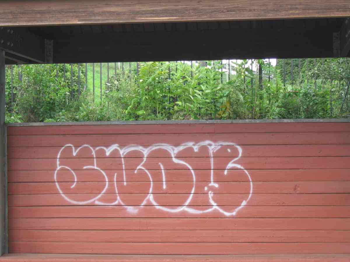 Graffiti Murals Street Art 0725 16288887 A4 Photo Print