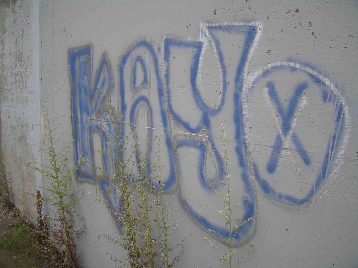 Graffiti Murals Street Art 0729 16289027 A4 Photo Print