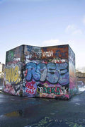 Graffiti Murals Street Art 074 1396 A4 Photo Print