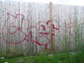 Graffiti Murals Street Art 0740 16309510 A4 Photo Print