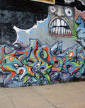 Graffiti Murals Street Art 075 1399 A4 Photo Print