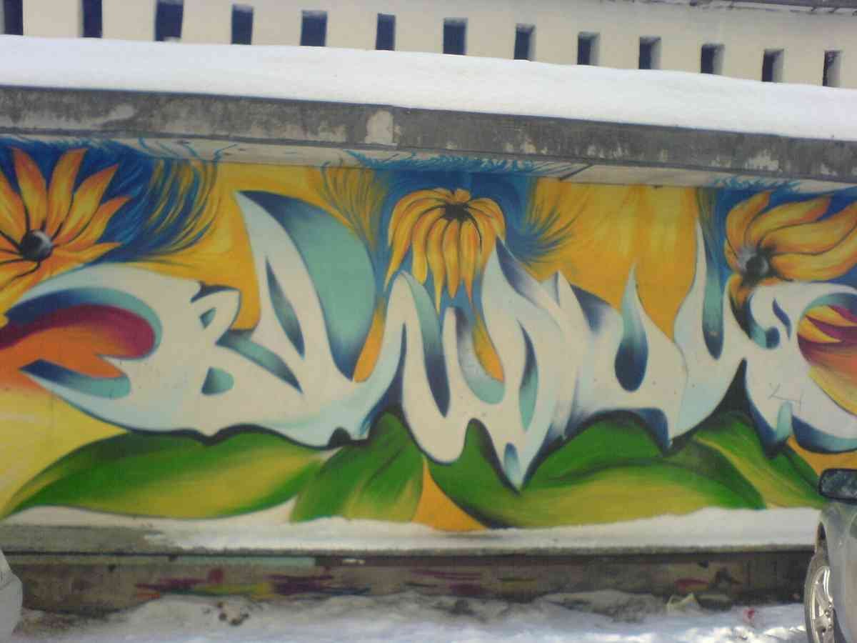 Graffiti Murals Street Art 078 content A4 Photo Print