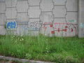 Graffiti Murals Street Art 0787 16499175 A4 Photo Print