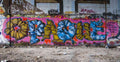 Graffiti Murals Street Art 0839 4163965585 4c350827fc o A4 Photo Print