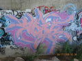 Graffiti Murals Street Art 0895 18166827 A4 Photo Print