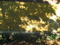 Graffiti Murals Street Art 0905 18241303 A4 Photo Print