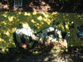 Graffiti Murals Street Art 0907 18241340 A4 Photo Print