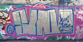 Graffiti Murals Street Art 0953 SanJose 9 A4 Photo Print