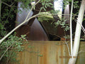 Graffiti Murals Street Art 0961 20038534 A4 Photo Print