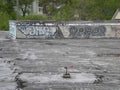 Graffiti Murals Street Art 098 graffiti5 A4 Photo Print