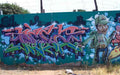 Graffiti Murals Street Art 0981 San Diego aa 8 A4 Photo Print