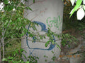 Graffiti Murals Street Art 0983 20601965 A4 Photo Print