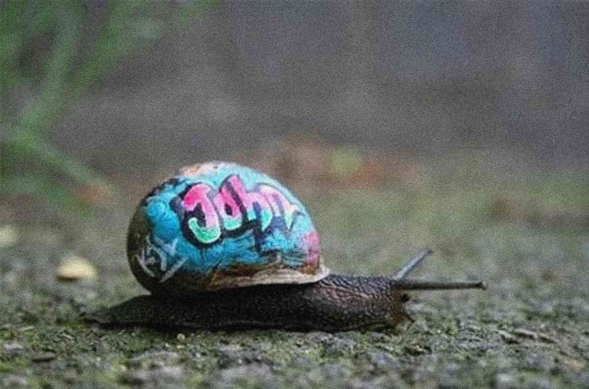Graffiti Murals Street Art 1 Snail 1 A4 Photo Print