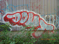 Graffiti Murals Street Art 1011 20928699 A4 Photo Print