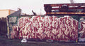 Graffiti Murals Street Art 1014 San Francisco aa 25 A4 Photo Print