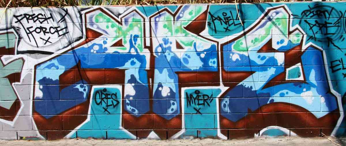Graffiti Murals Street Art 103 fpx043107 05 A4 Photo Print