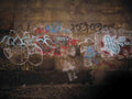 Graffiti Murals Street Art 1054 21902519 A4 Photo Print
