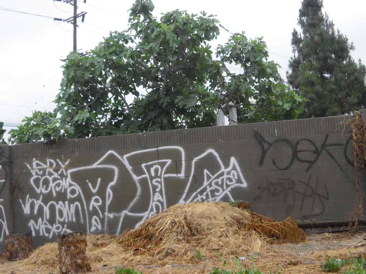 Graffiti Murals Street Art 109 cimg0574 A4 Photo Print