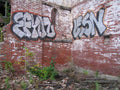 Graffiti Murals Street Art 1093 16314536 A4 Photo Print