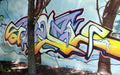 Graffiti Murals Street Art 1141 23226034 A4 Photo Print