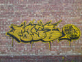 Graffiti Murals Street Art 1172 3821331002 b74b98f38f o A4 Photo Print